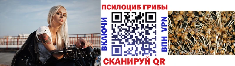 Галлюциногенные грибы прущие грибы  Каневская 